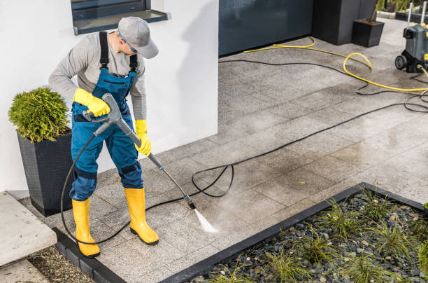 Best Roof Power Washing Services  in Millington, TN