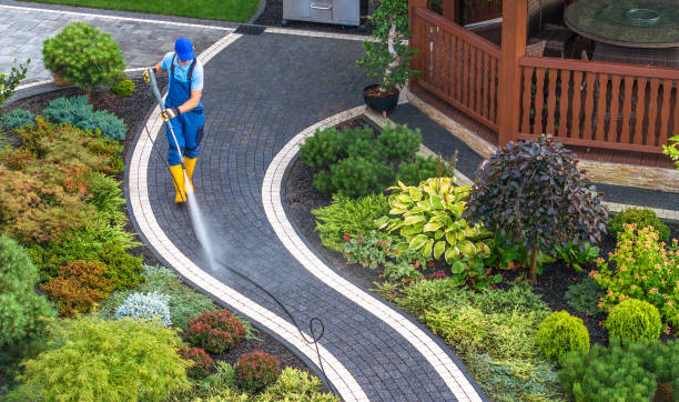 Best Affordable Power Washing  in Millington, TN